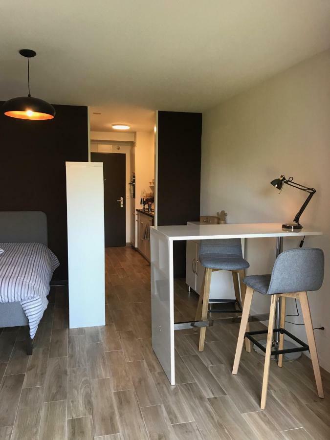 Large Studio Near Epfl And Lausanne City Center Ecublens  Exterior foto